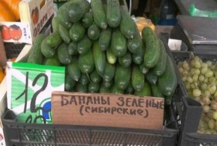 «Где еще удастся попробовать сибирские бананы!?»