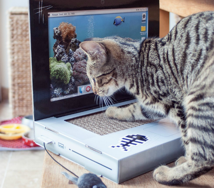 Игрушечный ноутбук для кошек.