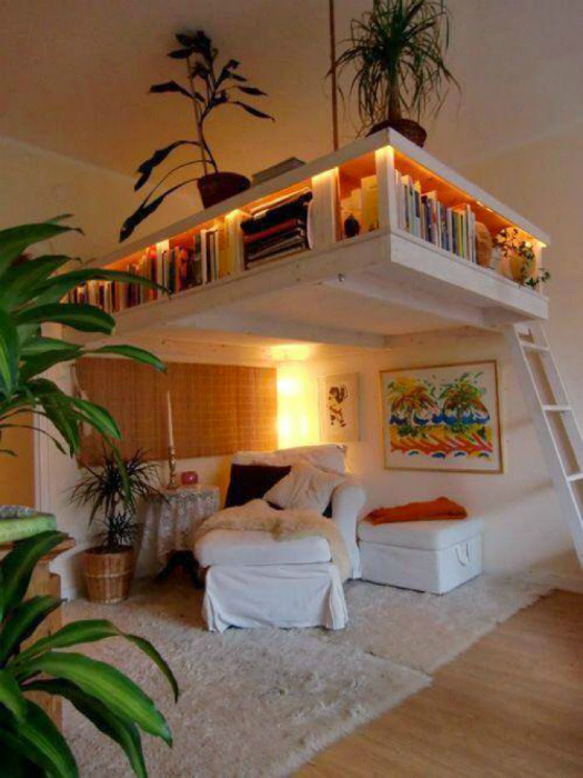 Необычный книжный шкаф под потолком.