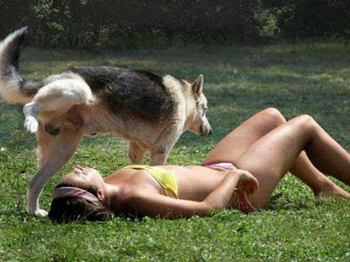 Девушка загорала на лужайке, не подозревая, что собака решит ее пометить.