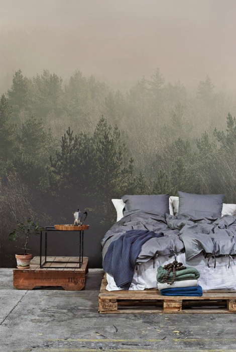 Фотообои для спальни с изображением таинственного леса.