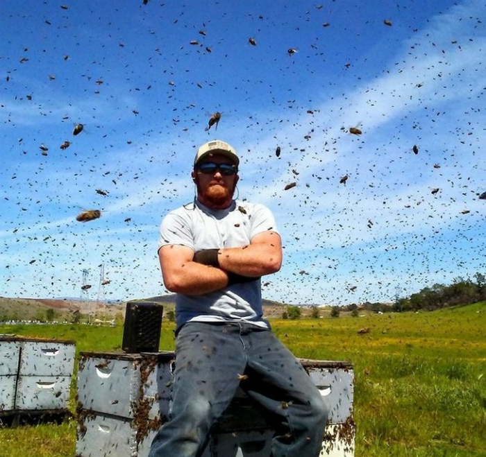 Novate.ru предупреждает, пчелы не так уж и безобидны! | Фото: AdMe.