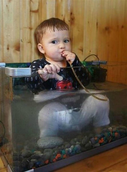 Замучила жажда? Хорошо, что есть аквариум!