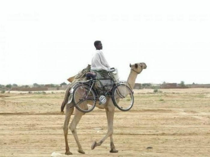 «Если верблюд «сломается», пересяду на велосипед.»