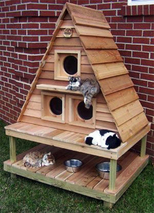 Домик для кошек.