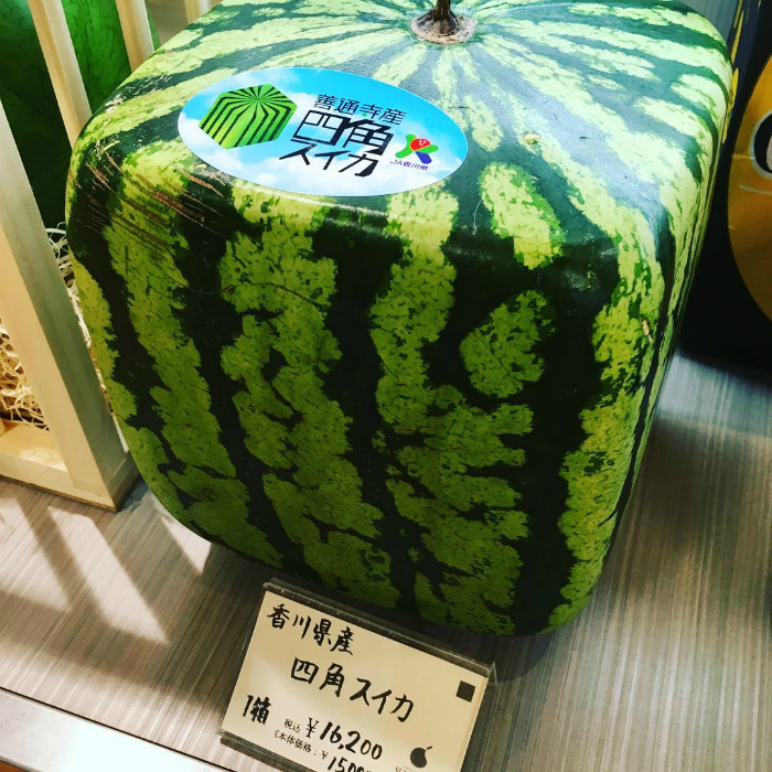 Фрукты и овощи необычных форм. | Фото: tsunagu Japan.