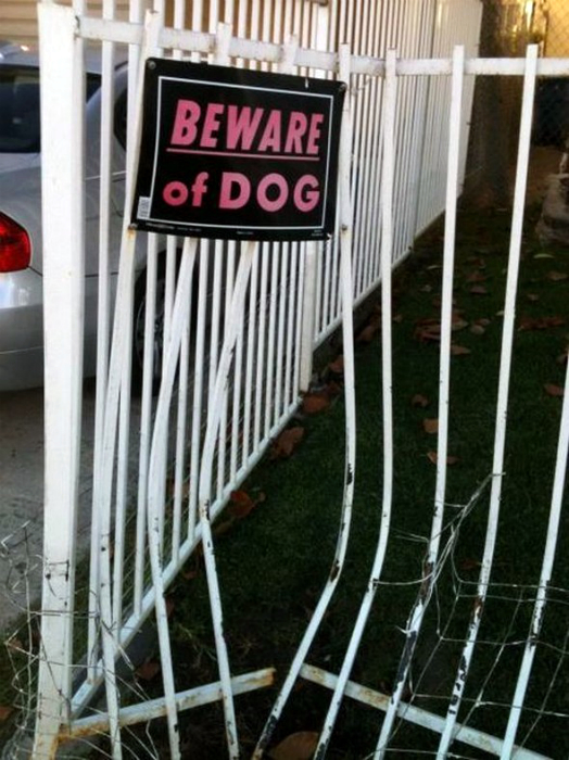 «Остерегайтесь собаки».