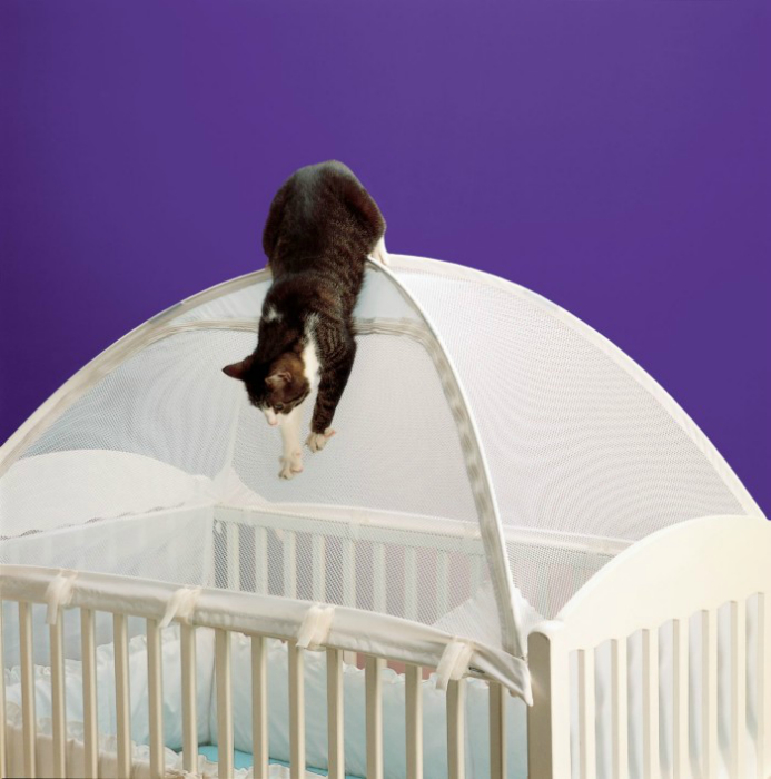 Специальный тент для детско кроватки, чтобы домашние животные внезапно не напали на ребенка.