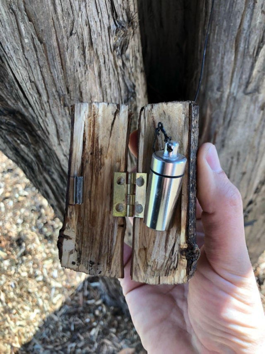 Серебристая капсула, найденная в дереве. | Фото: Reddit.