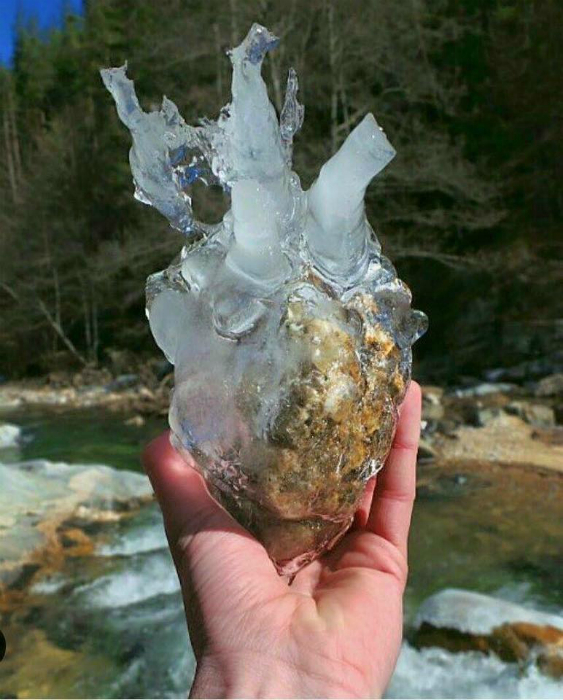 Ледяное сердце.