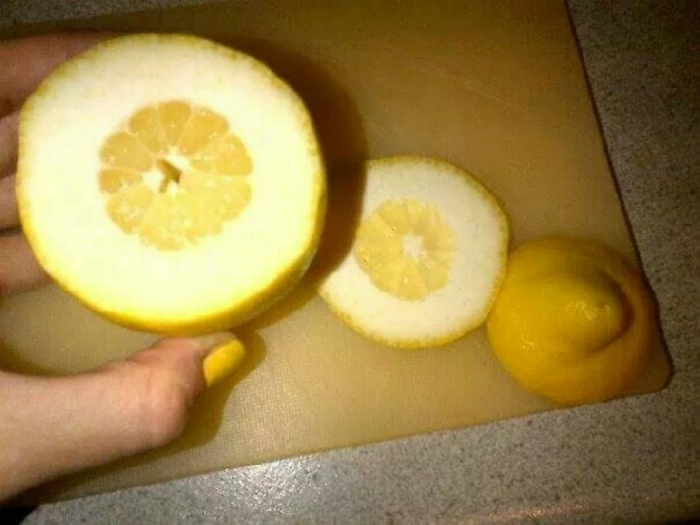 Толстокожий лимон.