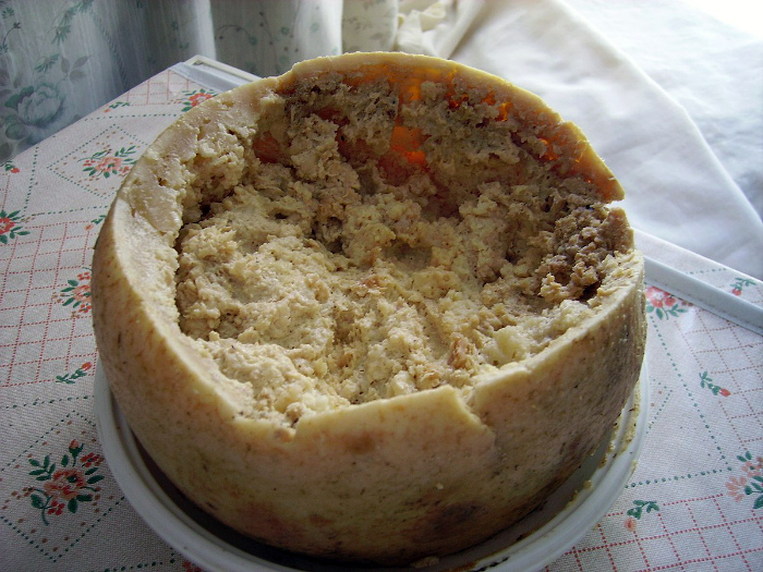 «Гнилой сыр» из Сардинии.