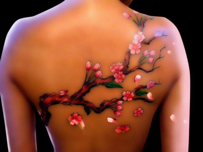 Потрясающее изображение цветущей ветки сакуры.