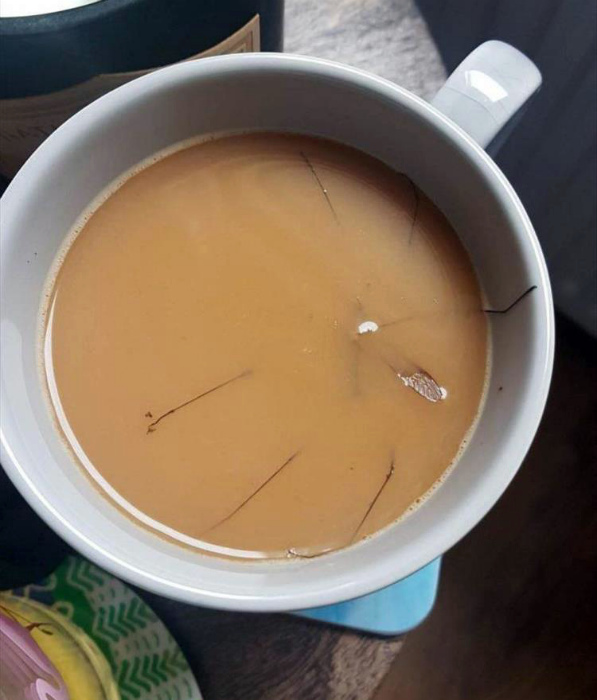 Кофе с пауком. | Фото: Pinterest.