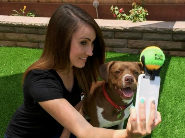 Специальный держатель теннисного мячика, который крепится на телефон. Мячик, безусловно, заинтересует собаку и заставит некоторое время смотреть в камеру, позволяя сделать идеальное фото.