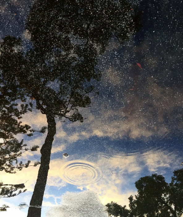 Небесное отражение.