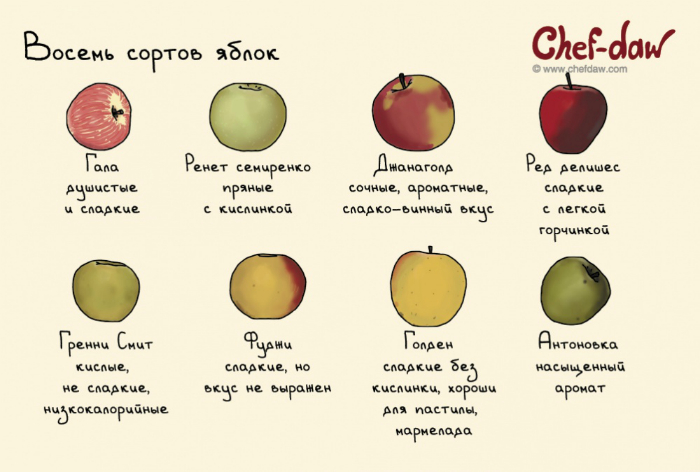 Восемь сортов яблок и их особенности.