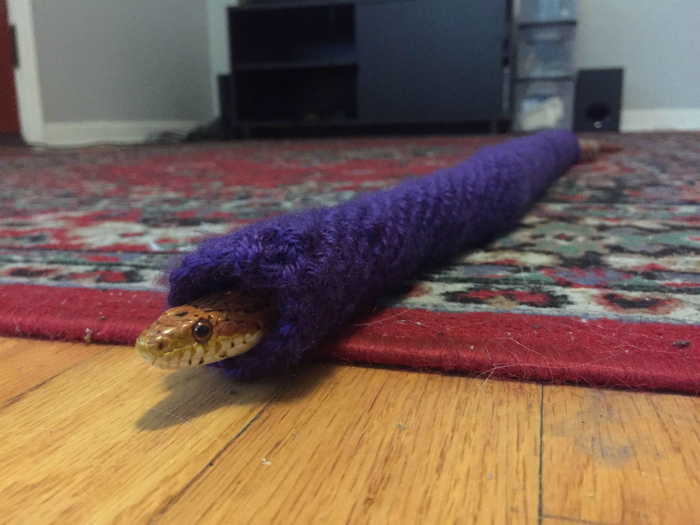 Змея в утепленной шкурке. | Фото: ЯПлакалъ.