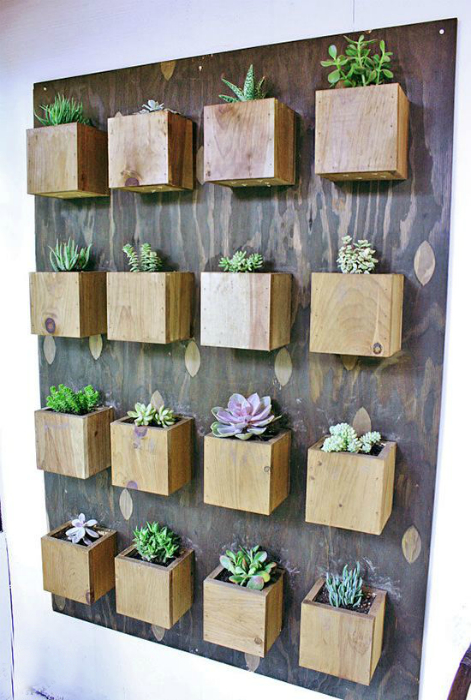 Доска с деревянными ящиками для растений.