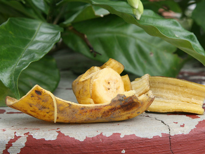 Банановая кожура для удобрения растений.