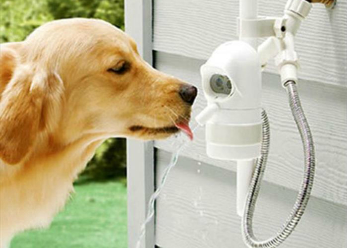 Специально для заботливых хозяев, была создана автоматическая поилка для собак под названием WaterDog.