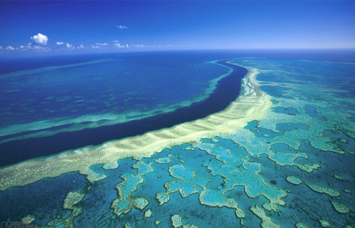 Большой барьерный риф, Австралия.