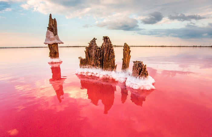 Розовое солевое озеро. Автор фото: Сергей Анашкевич