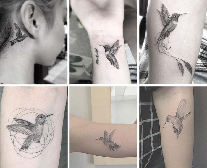 Колибри – маленькая ловкая птичка