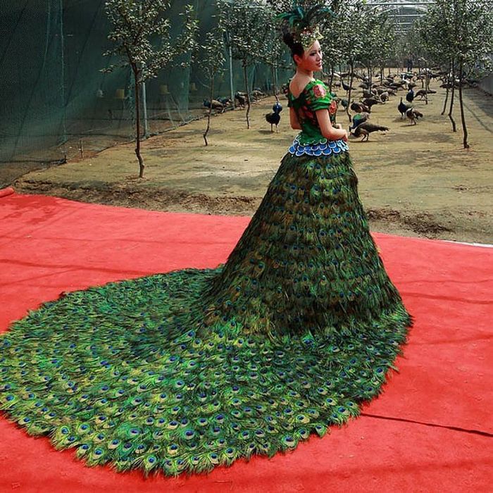 Платье из павлиньих перьев: 1 500 000 долларов