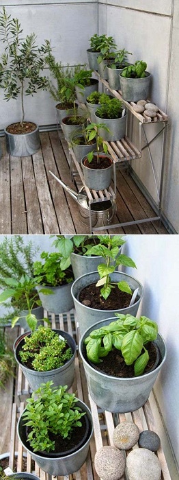 Симпатичное решение для того чтобы удобно обустроить мини-сад разместить его в ведрах одного размера.