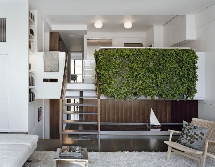 Хорошенький вариант создать прекрасную зеленую стену, что понравится и точно вдохновит.