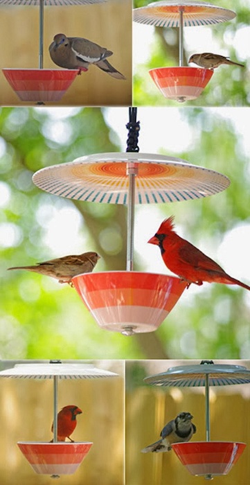 Яркие и симпатичные кормушки для птиц, которые возможно соорудить своими руками.