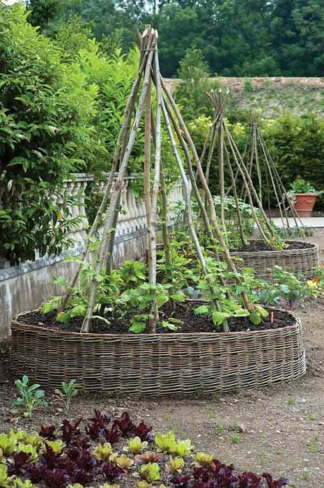 Необычный поднятый сад для вьющихся цветов и овощей.
