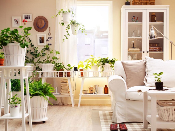 Расширить пространство и украсить интерьер возможно при помощи добавления в комнату большего количества зеленых комнатных растений.