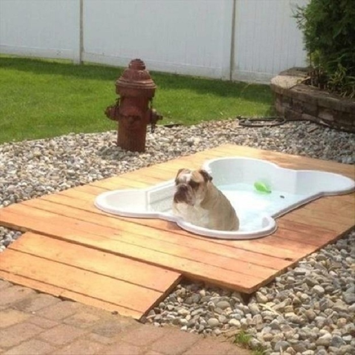 Хорошее решение создать такой отличный бассейн для любимых домашних животных.