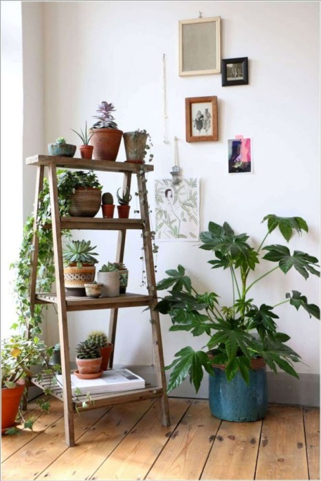 Старая деревянная лестница может стать отличной подставкой для цветов и растений, которые улучшат микроклимат любого помещения.  