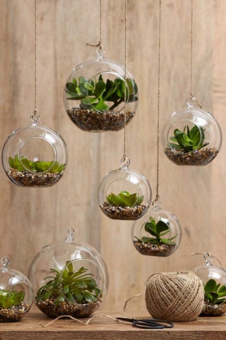 Креативный способ украшения малогабаритной квартиры с помощью стеклянных шариков, в которых посажены небольшие растения.  