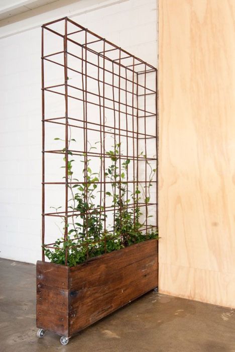Вертикальное озеленение в малогабаритной квартире – достаточно популярный на сегодняшний день способ оживить пространство.