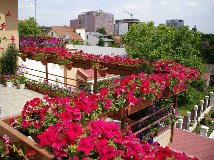 Цветы и растения могут отлично дополнить интерьер небольшого балкона. 