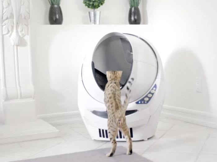 Самоочищающийся робот-туалет для кошек - мечта всех хозяев мурчащих.