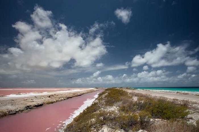 Розовый пляж «Бонайре».