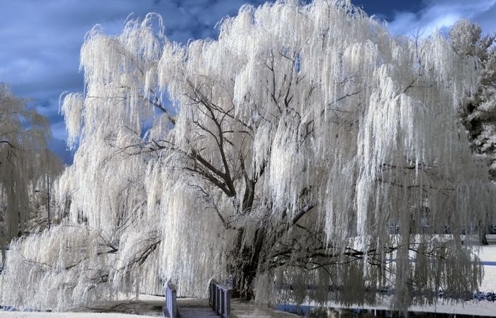 10 редких природных зимних явлений, не увидев которые своими глазами, можно усомниться в их реальности