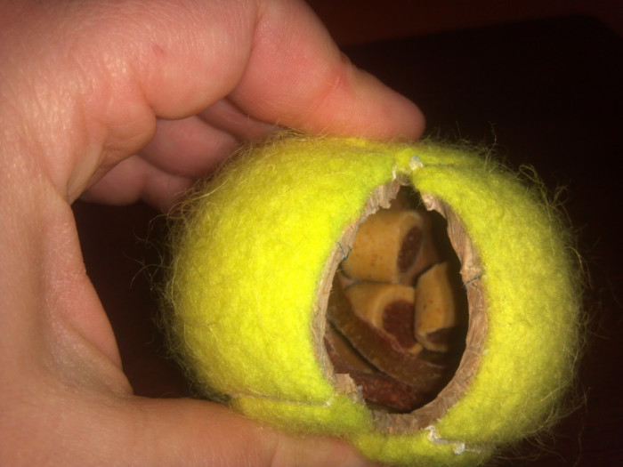 DIY food stuffed tennis ball chew toy qz Домострой