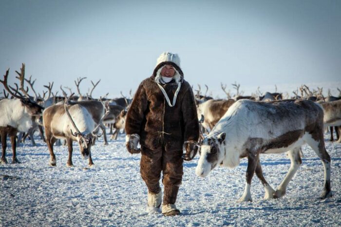 Жить - хорошо. /Фото: yakutia-daily.ru.