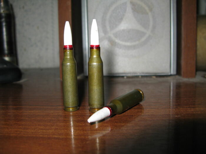 Это холостые патроны с имитацией пули. /Фото: guns.allzip.org.