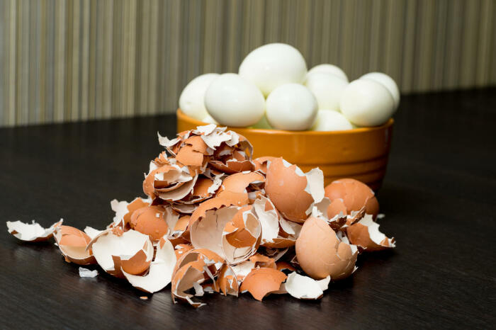 Варим пару-тройку яиц. /Фото: build-experts.ru.