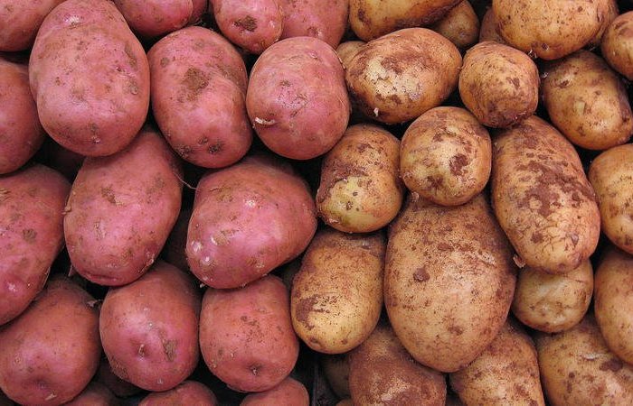 Какой картофель лучше жарить и варить, а какой будет вкуснее в салате