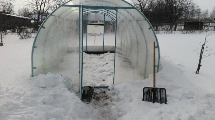 Снег нужен, чтобы почва не промерзла. /Фото: forum.na-svyazi.ru.