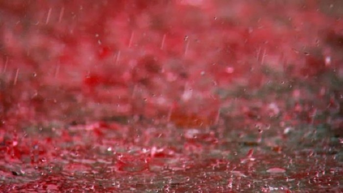Кровавый дождь - не просто библейский сюжет. /Фото: theecology.ru