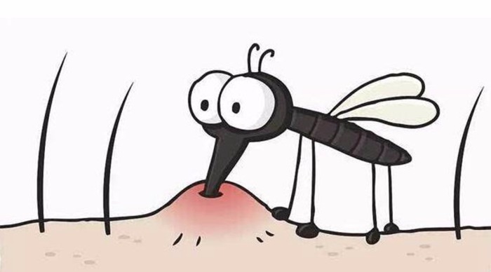Как спастись от зуда после укуса комара. | Фото: i2.hdslb.com.